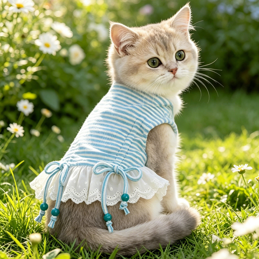 Dongker Cat Sleeveless Dress Striped Rib Knit Eyelet Lace